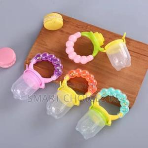 Silicone Baby Fruitfeeder - main view