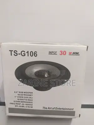 Ts-G106 6.5 Inch Sub Woofer 30watts 18oz Magnet