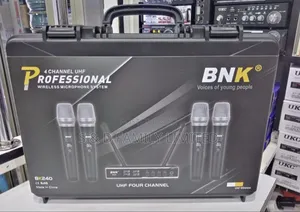 BNK BK240 4 in 1 Wireless Microphone