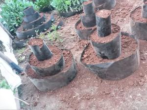 Levels Garden Management With Dam Liners - thumbnail 2