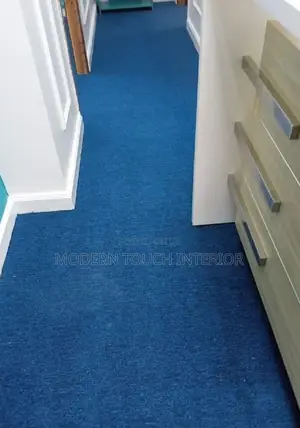 High Quality Blue Delta Wall to Wall Carpet