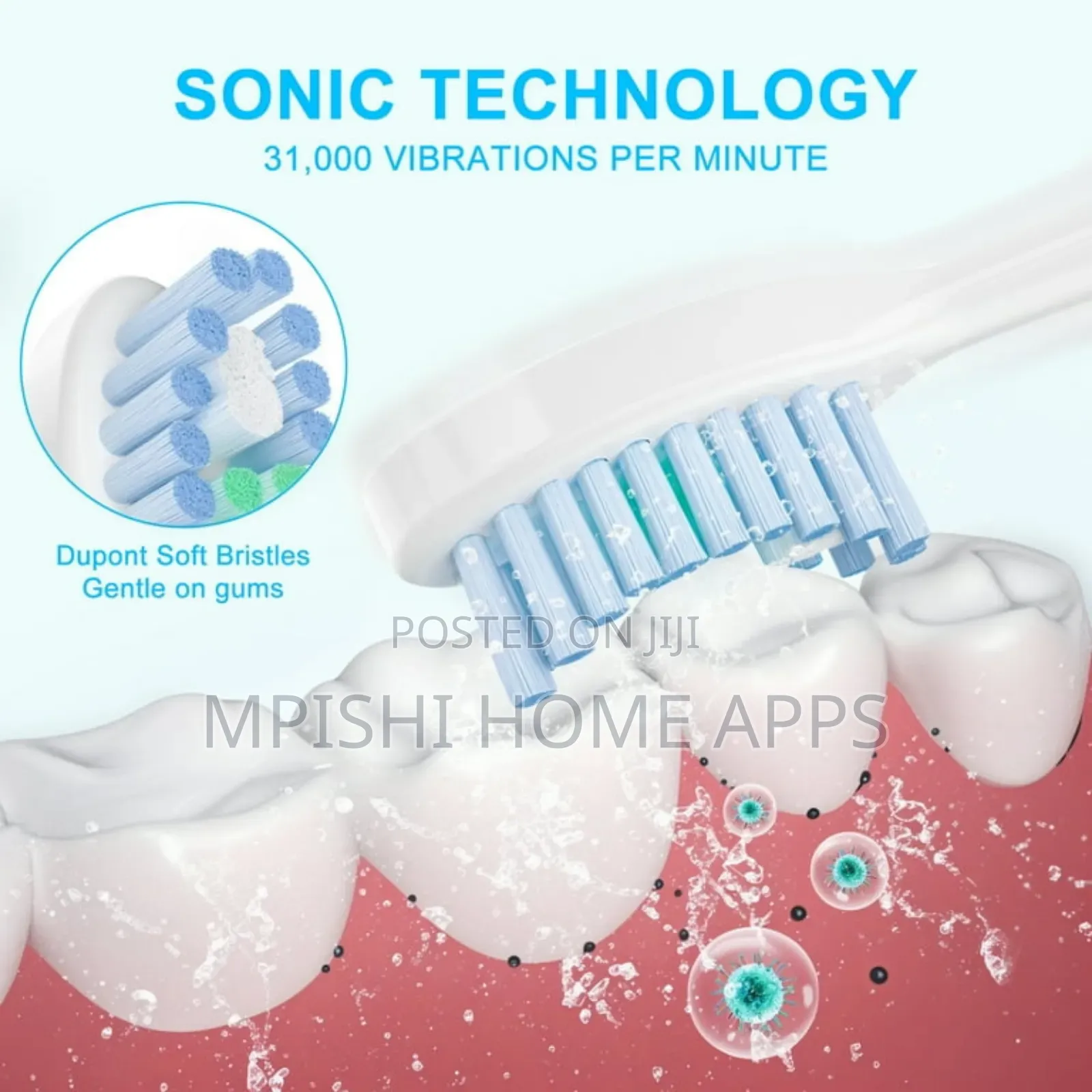 Adult Automatic Toothbrush