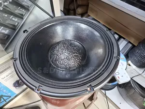Derwel 12 Inches Voice Coil 75mm Speaker