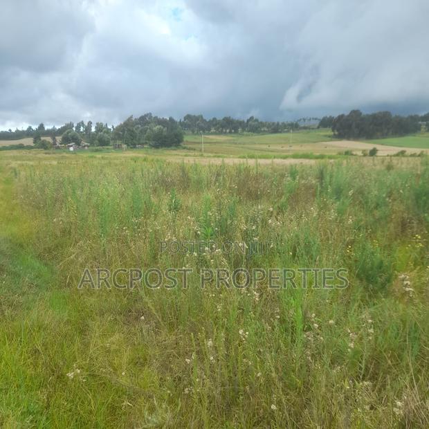 12 Acres for Sale in Ex-Lewa With View of Mount Kenya