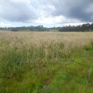 12 Acres for Sale in Ex-Lewa With View of Mount Kenya