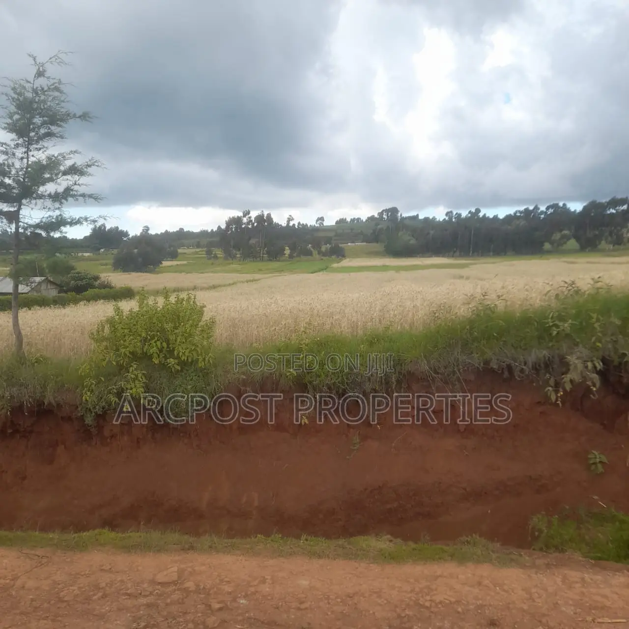 12 Acres for Sale in Ex-Lewa With View of Mount Kenya
