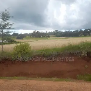12 Acres for Sale in Ex-Lewa With View of Mount Kenya