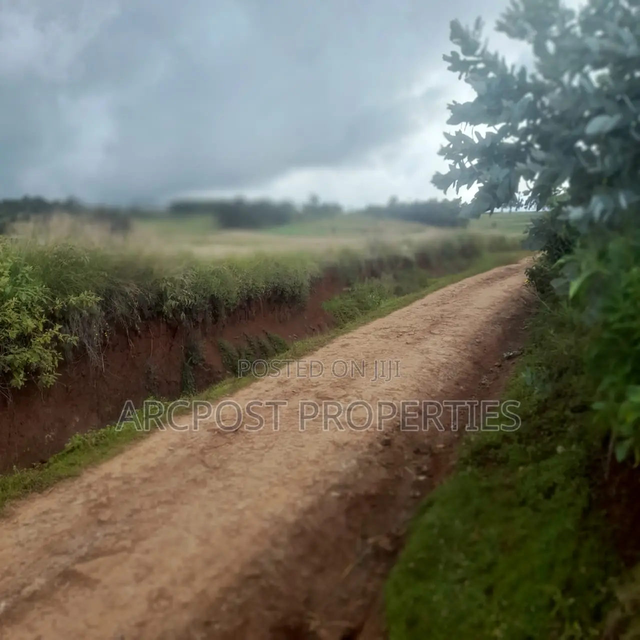 12 Acres for Sale in Ex-Lewa With View of Mount Kenya