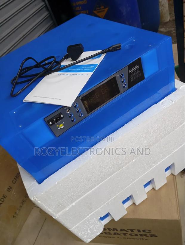 256 Eggs Incubator Ac Dc Automatic