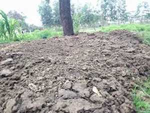 Organic and Pure Pig Manure for Sale in 90kg Sacks