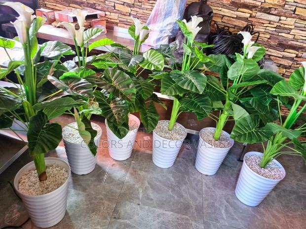 Flowered Plants Suitable for Restaurants Decor