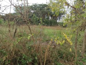 Land for Sale 0.75acres - thumbnail 2