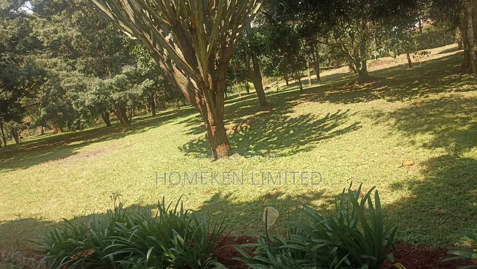 Half Acre for Sale at Miotoni,Karen in Ngong Land & Plots for Sale, Homeken Limited Jiji.co.ke