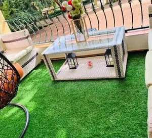 Low-Maintenance Artificial Grass Carpet