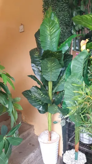 1.5m Long Green Yellow Plant With Vase