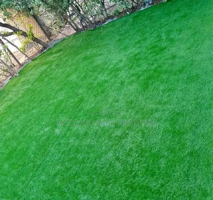 Pet Friendly Turf Grass Carpet