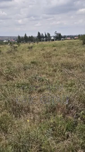 2 Acres of Land