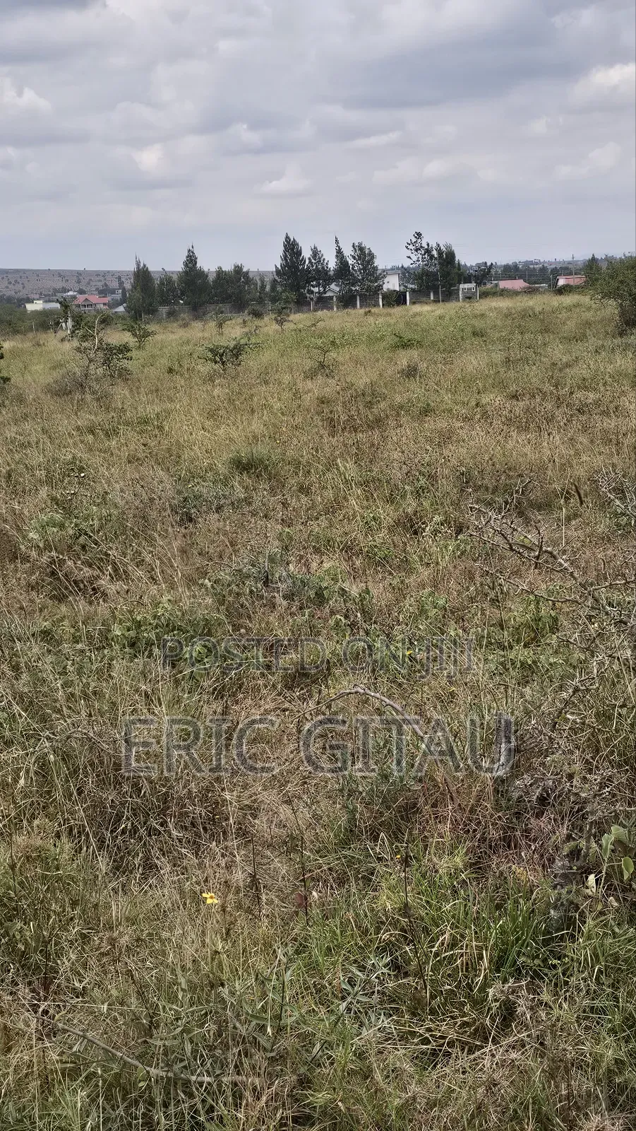 2 Acres of Land