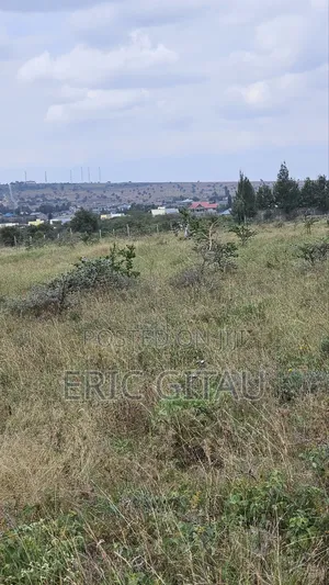 2 Acres of Land