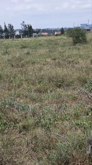 2 Acres of Land