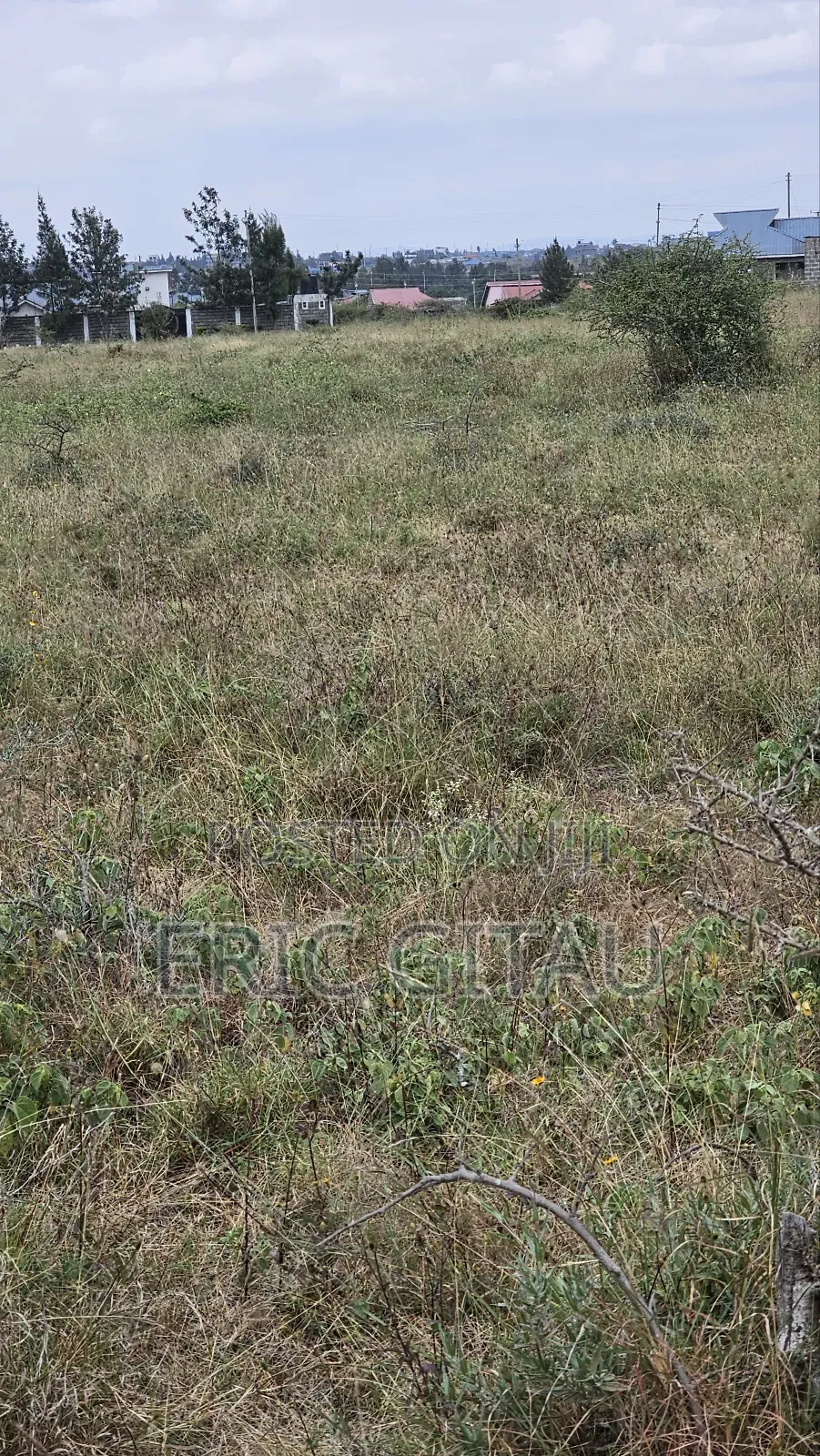 2 Acres of Land