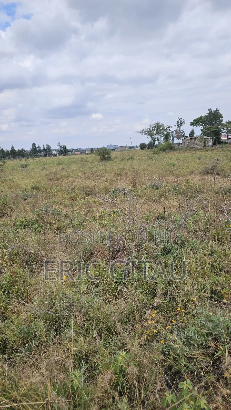 2 Acres of Land