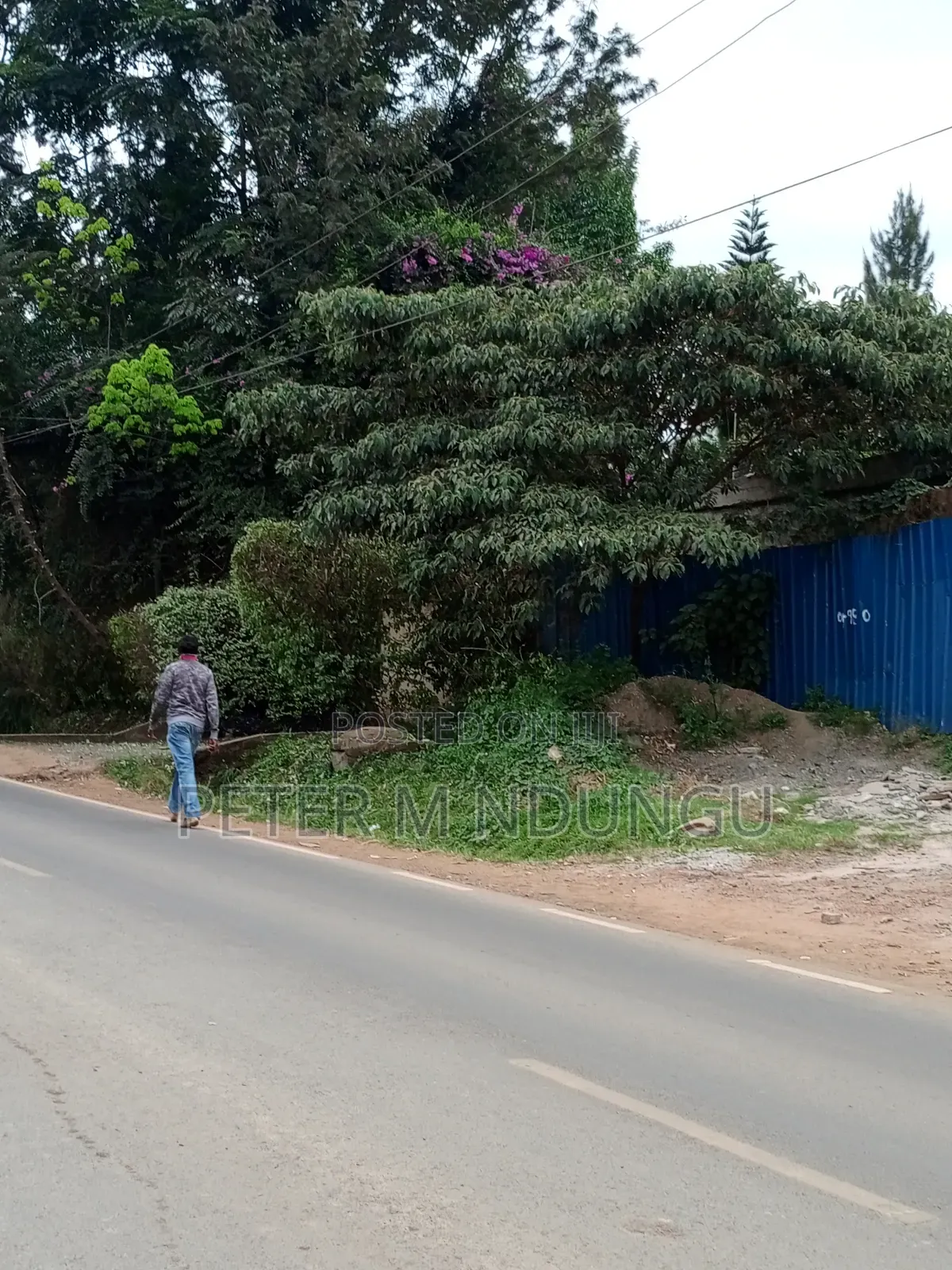 Prime 1/2 Acre Touching Mirema Road