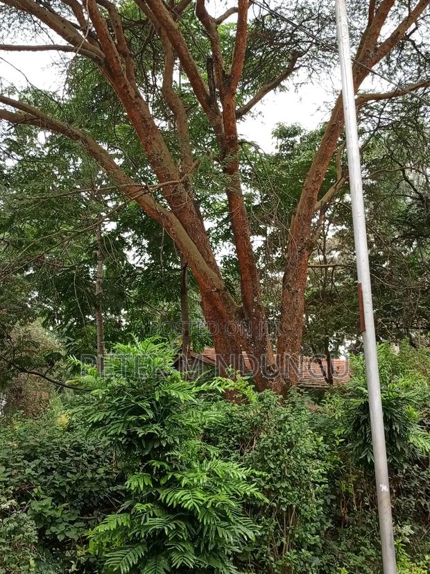 Prime Land on Sale, 0.75 Acre Behind Safari Park - thumbnail 8