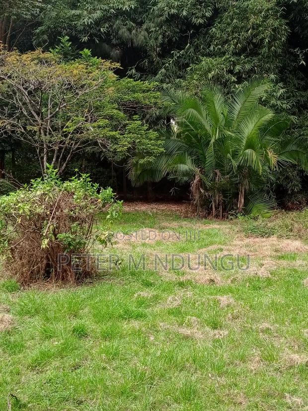 Prime Land on Sale, 0.75 Acre Behind Safari Park - thumbnail 11