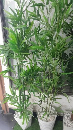 1.5m Bamboo Sticks Green Artificial in Hard Plastic Vases