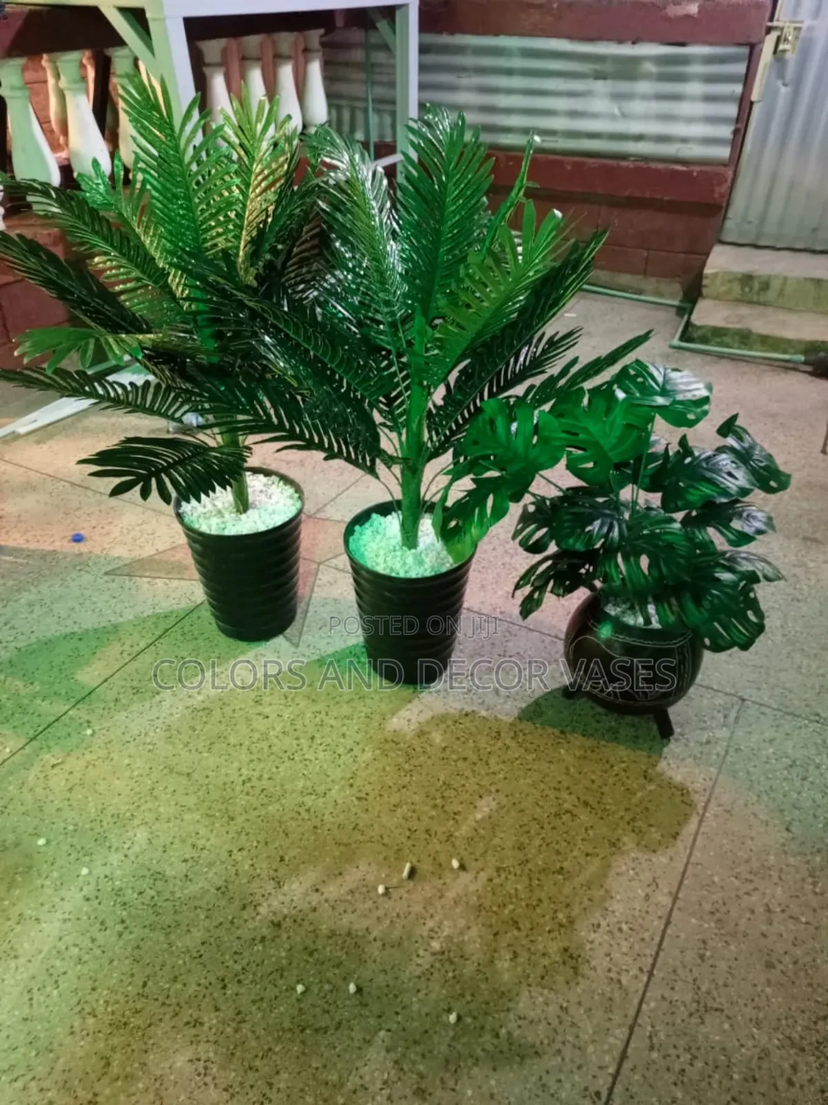 Palm Trees 1.2m With Vase