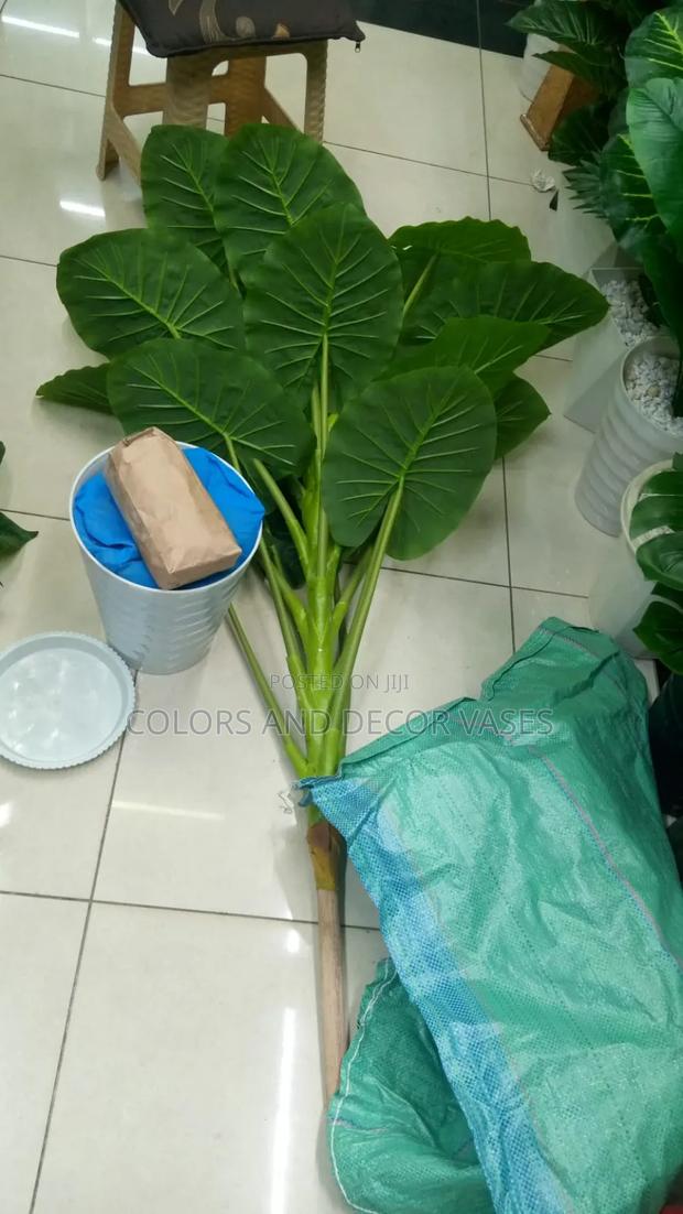 1.6m Long Green Plant on Offer Comes With Plastic Vase