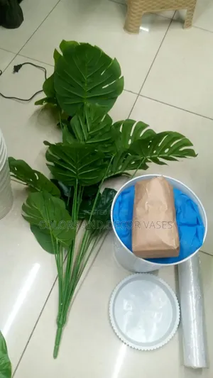 1.2m Long Monstera With Vase and Pebble Stones on Offer
