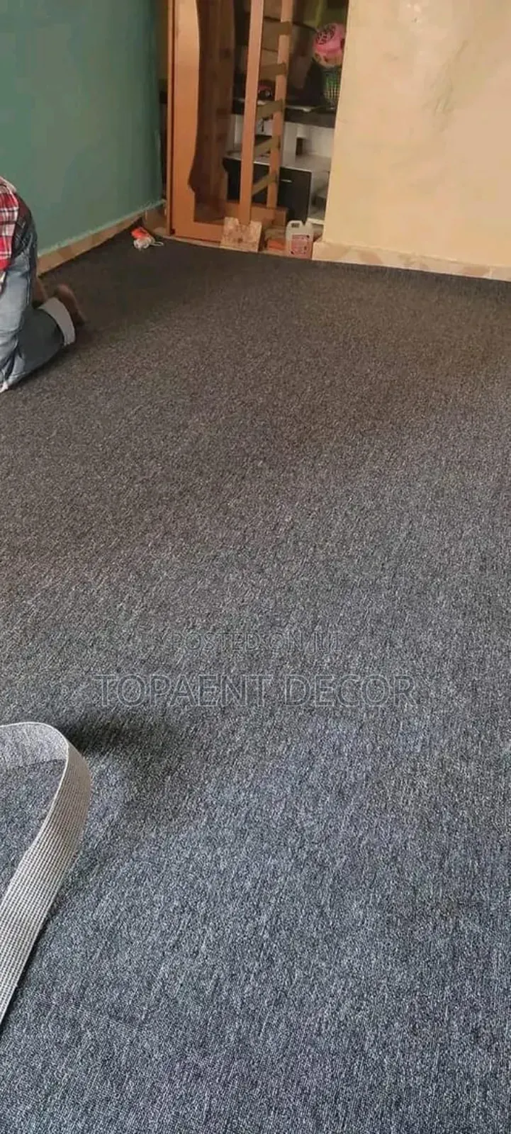 Light Grey Living Room Wall to Wall Carpets