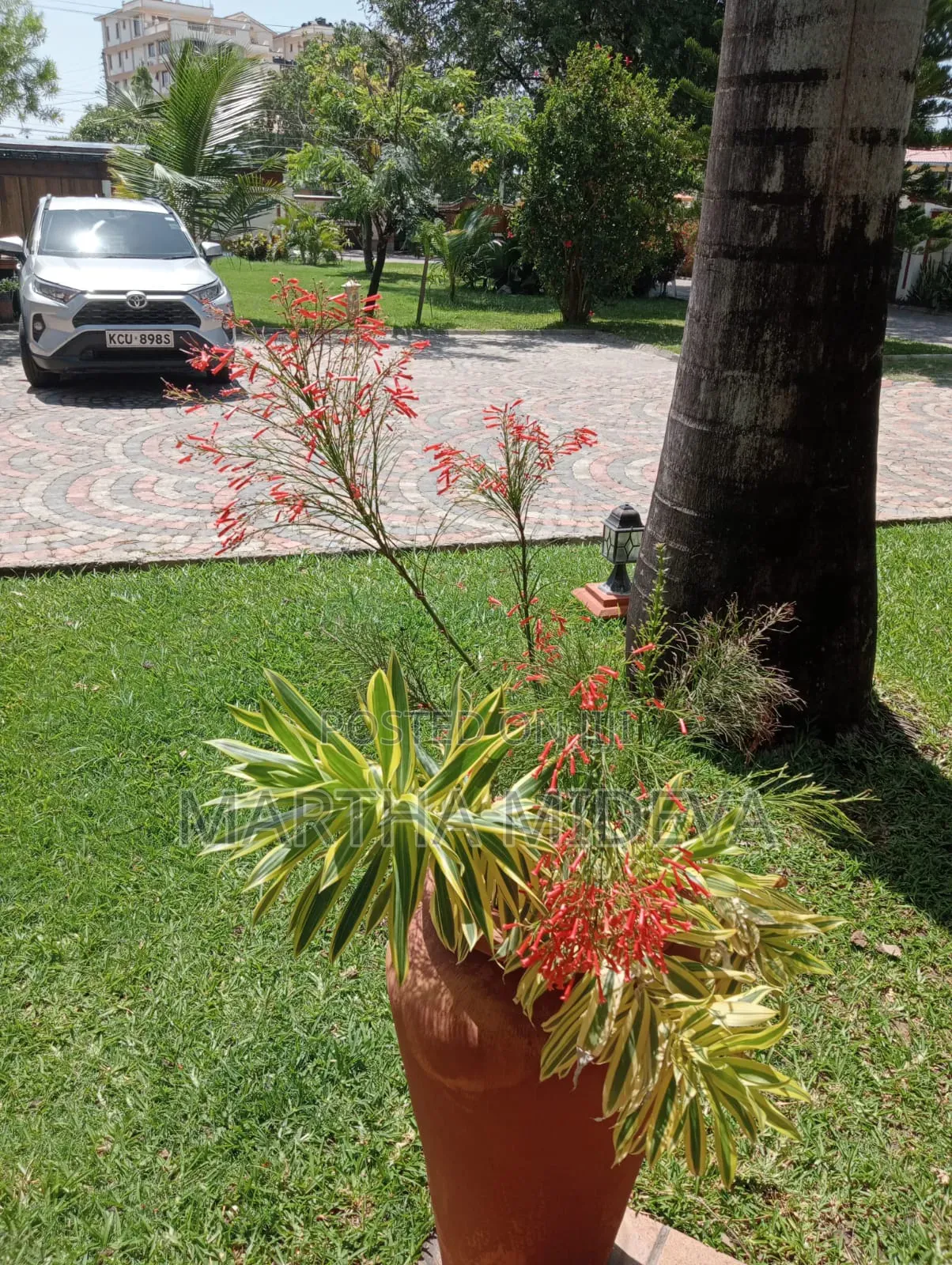 Landscaping Services