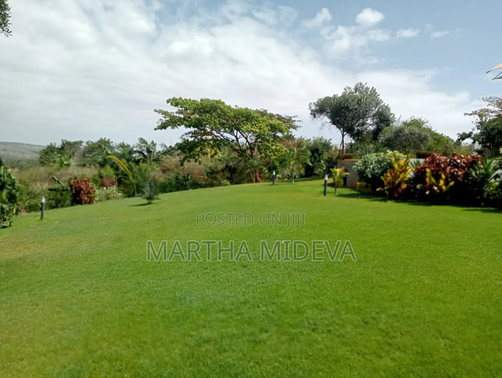 Landscaping Services