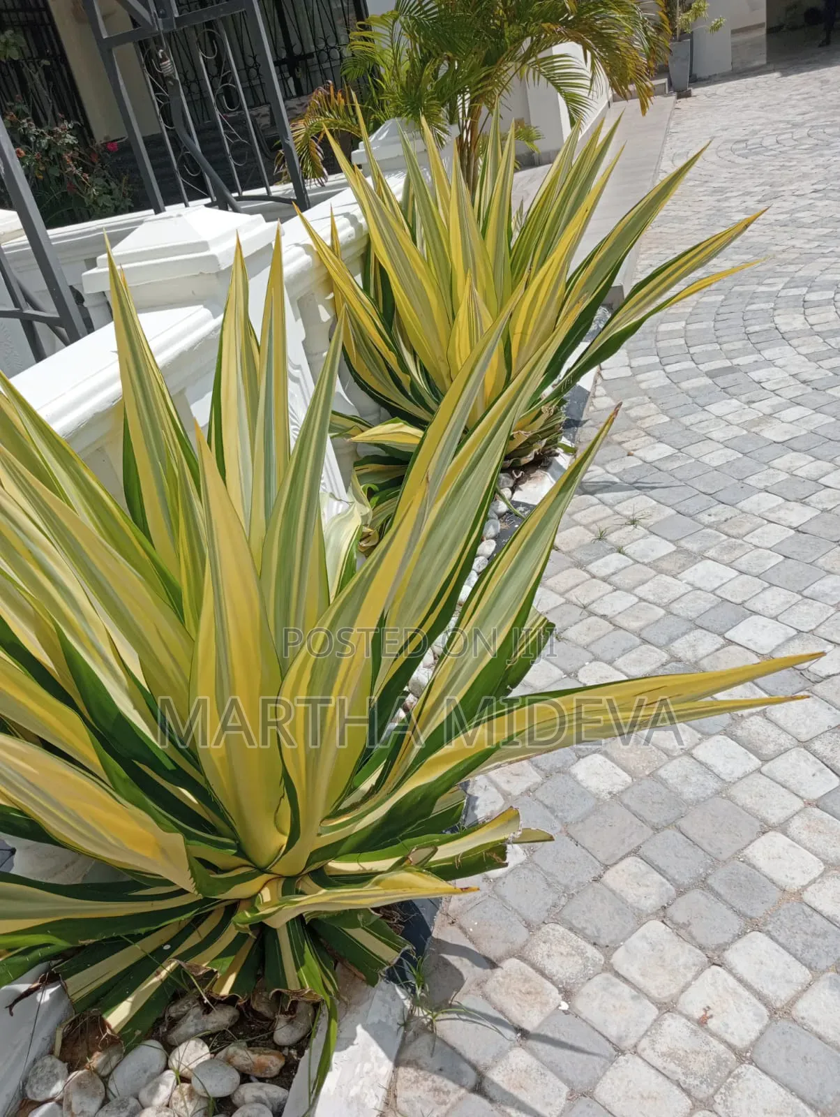 Landscaping Services
