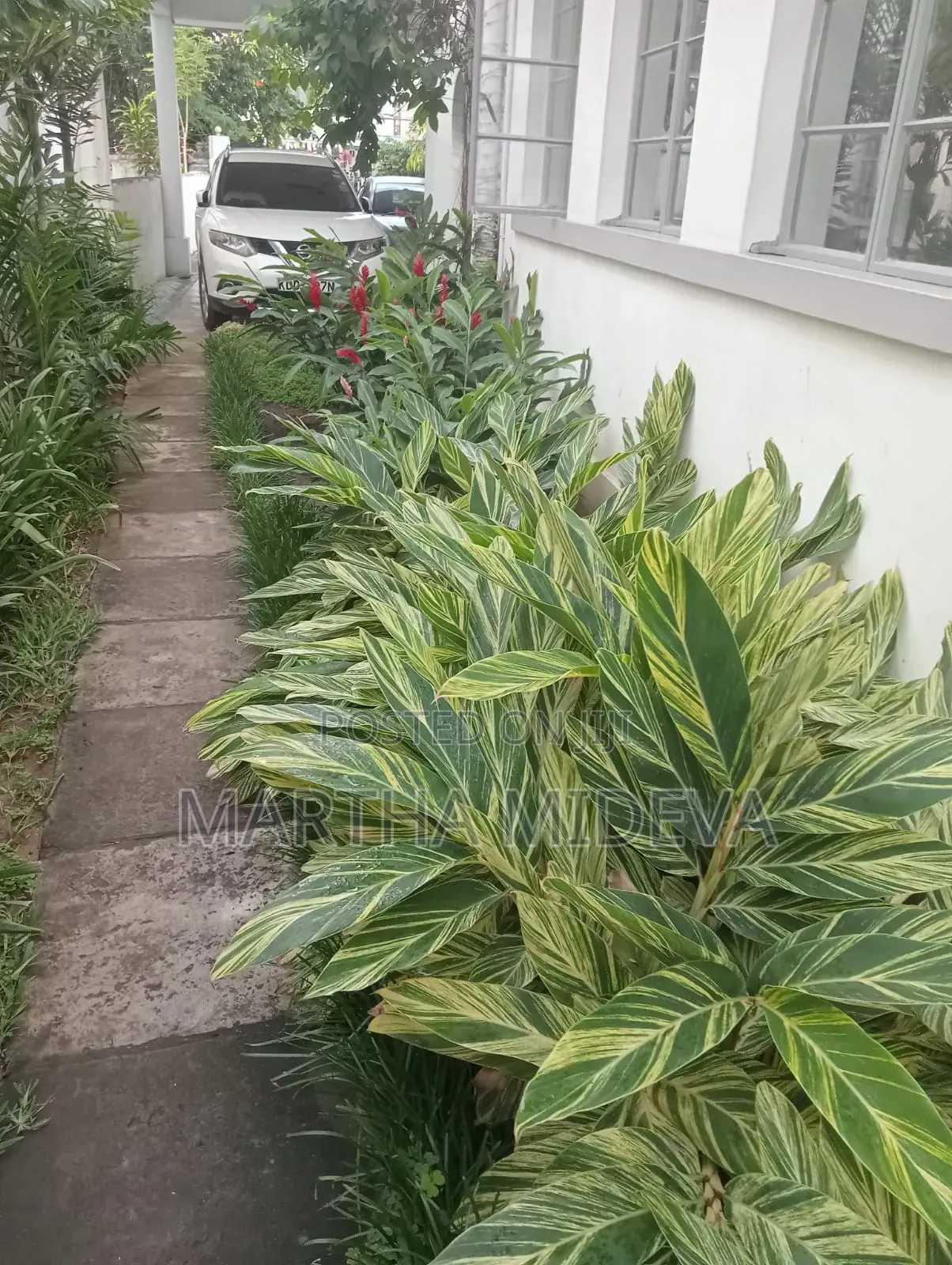 Landscaping Services