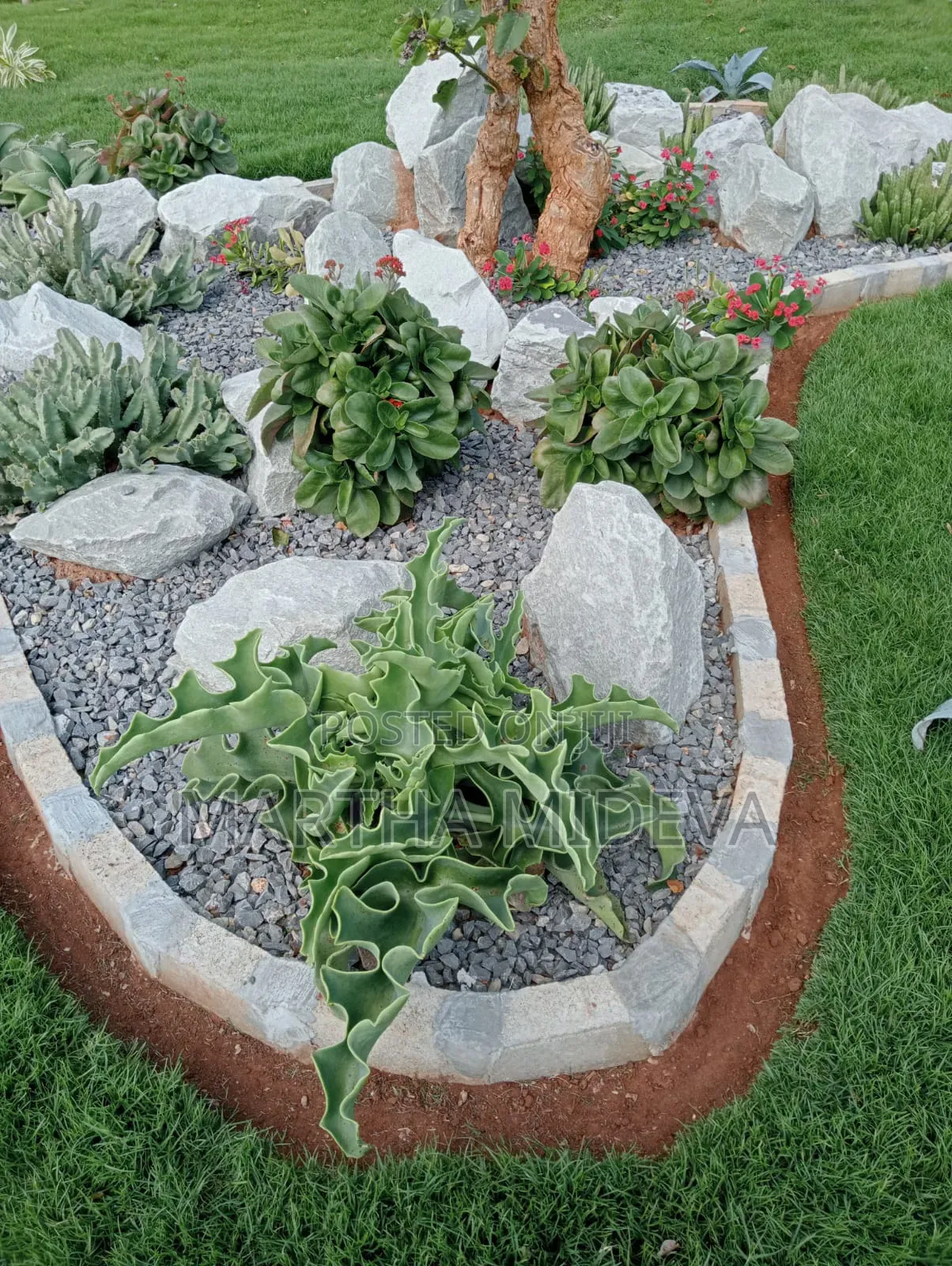 Landscaping Services