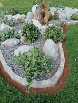 Landscaping Services