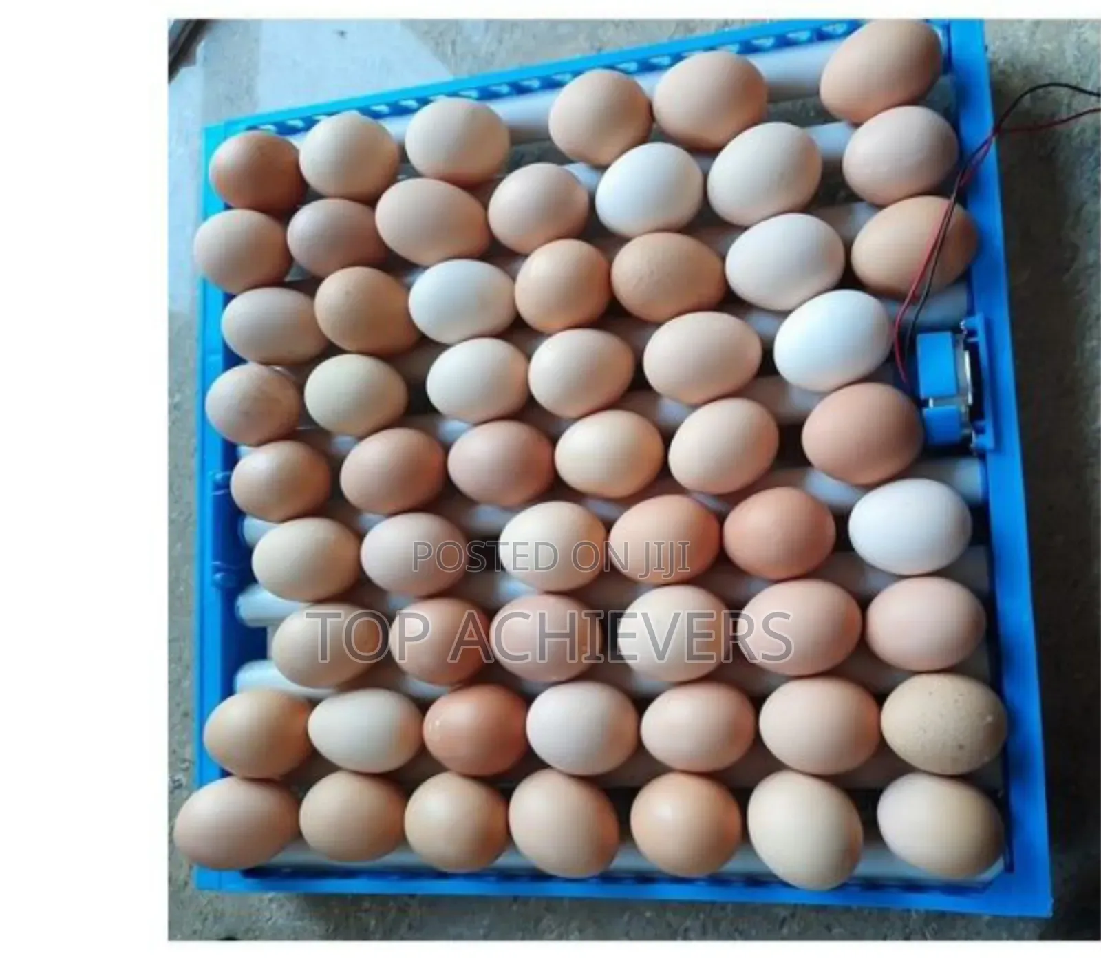 Ac,DC 64 Automatic Egg Incubator