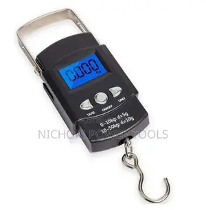 Mini Crane 50 Kg Digital Weigh Scale