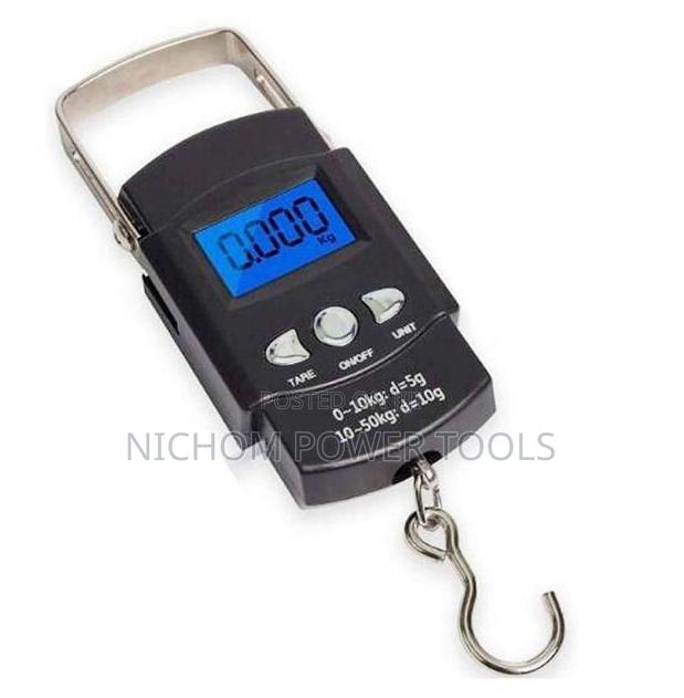 Mini Crane 50 Kg Digital Weigh Scale