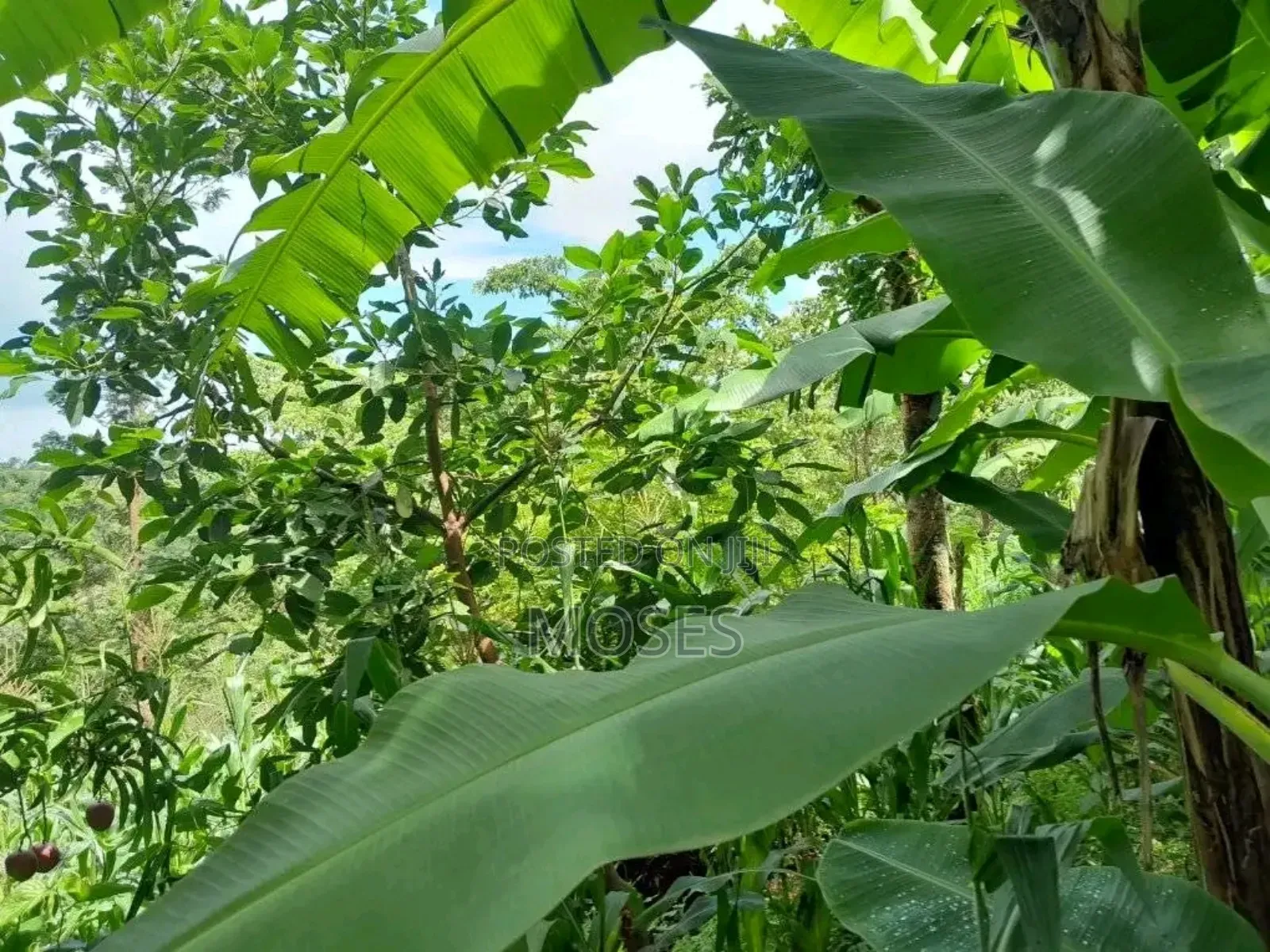 1 Acre Land