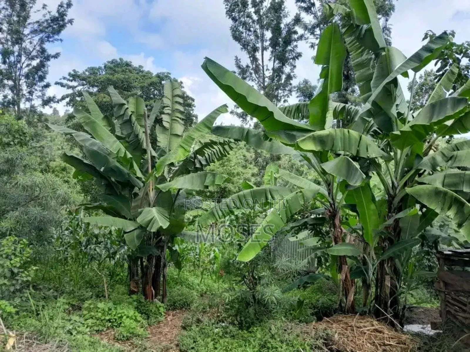 1 Acre Land