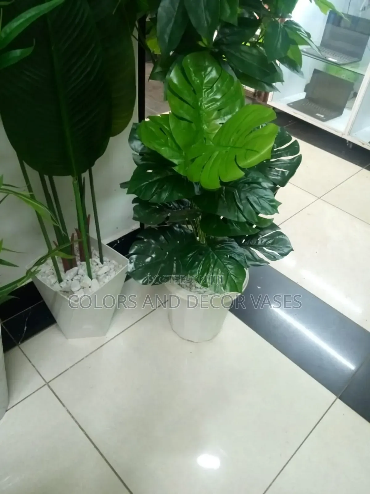 Monstera, Round Vase and Pebble Stones