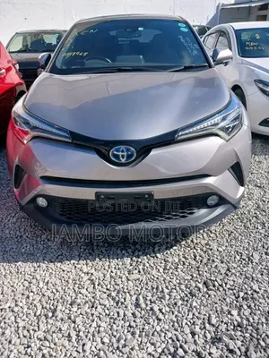 Toyota C-HR 2017 Brown