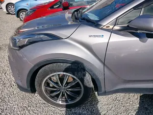 Toyota C-HR 2017 Brown