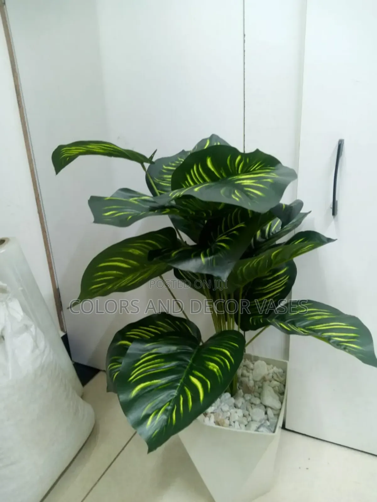 Stripped Plant With Hard Plastic Vase on Offer