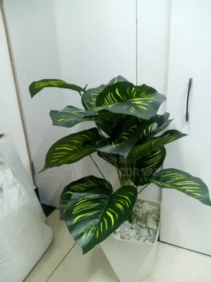 Stripped Plant With Hard Plastic Vase on Offer